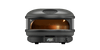 Arc Basic